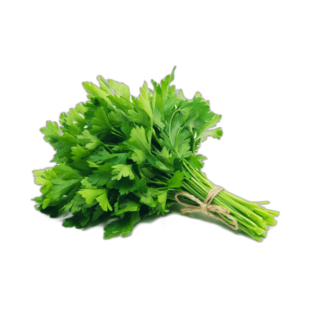 פטרוזיליה מהדרין