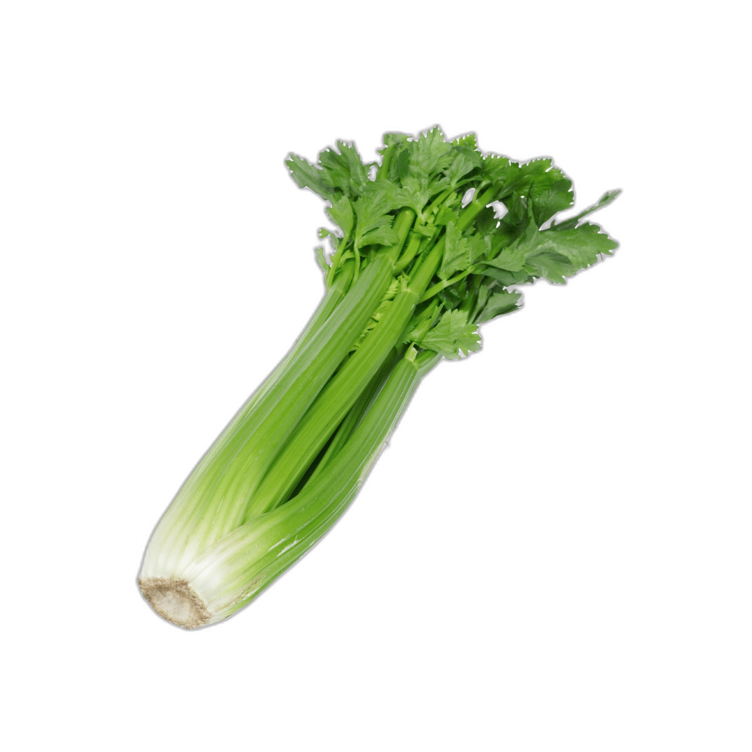 גבעולי סלרי